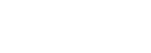 Association for Mineral Exploration